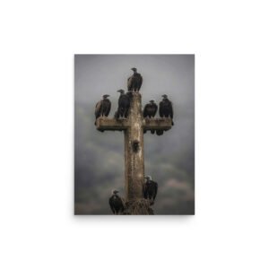 Vultures on Cross