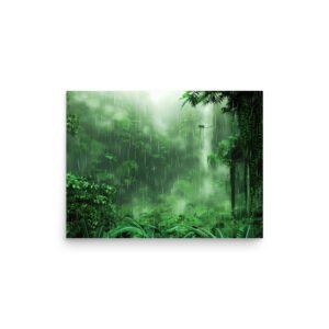 Rainforest Rainfall