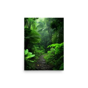 Path Through the Rainforest